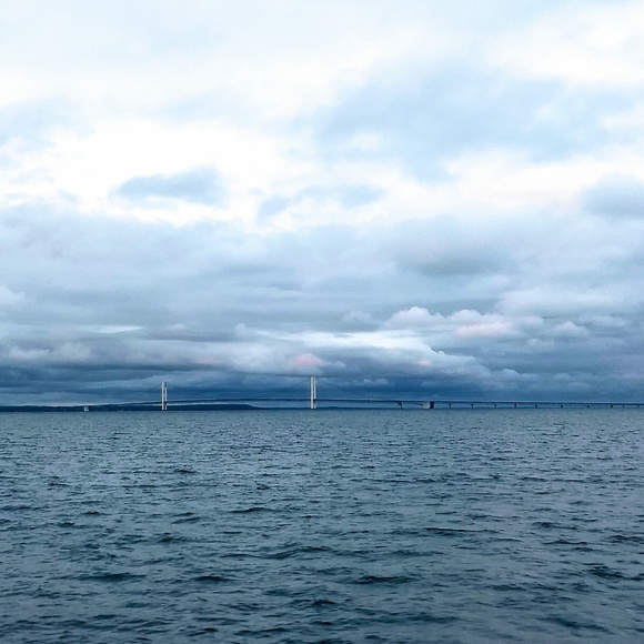 Meet your Posher, Roxy - Picture 4 of 4